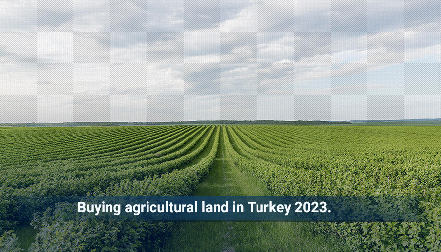 Buying agricultural land in Turkey Istanbul Properties For Sale