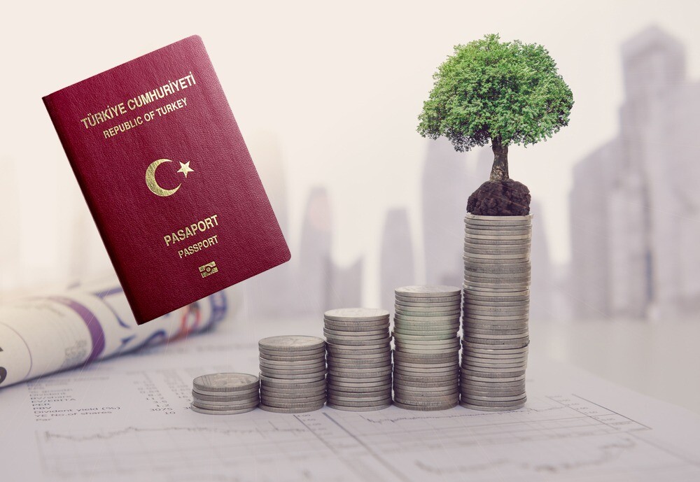                    أهم الاسئلة عن الجنسية التركية لعام 2021 