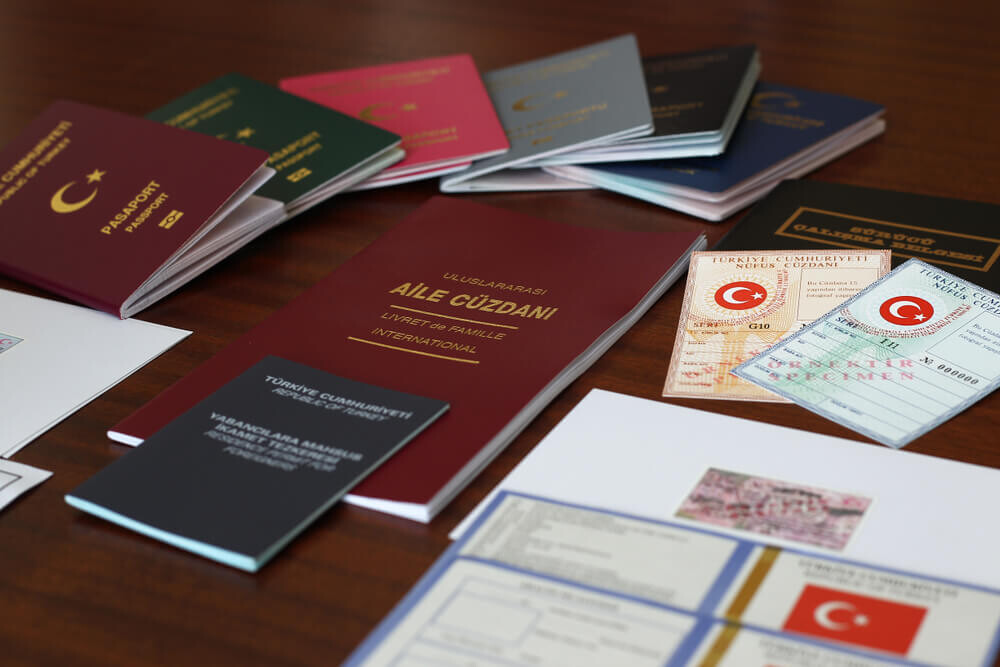 أنواع جواز السفر التركي