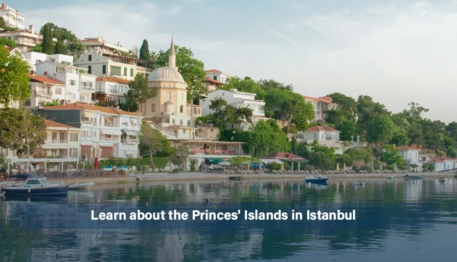 Learn About The Princes&#39; Islands In Istanbul | Istanbul Properties ...