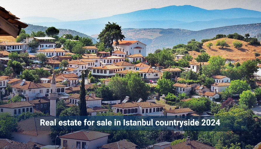 Real Estate For Sale In Istanbul Countryside 2024 Istanbul Properties   766b0e16a04433d1556150fd56edc2cd 