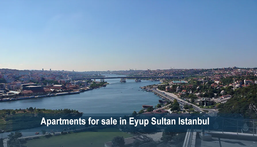 Apartments for sale in Sultan Eyup Istanbul Istanbul Properties For